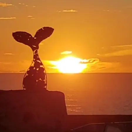 El Sonando/stylish/minutes From Swim Or Surf/well Equipped Appartement Cotillo